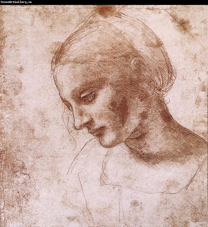 LEONARDO da Vinci Study fur a women head